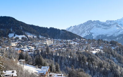 Villars 995