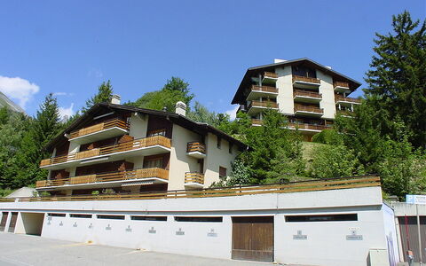 Ovronnaz 240: Wohngebiet, Haus, Zuhause, Vorort, Bergdorf, Balkon, Villa, Lärche, Immergrün