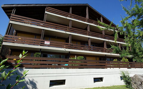 Zodiaque Rs 4: Pflanze, Himmel, Gebäude, Fenster, Holz, Grundstueck, Die Architektur, Urban Design, Baum, Schatten