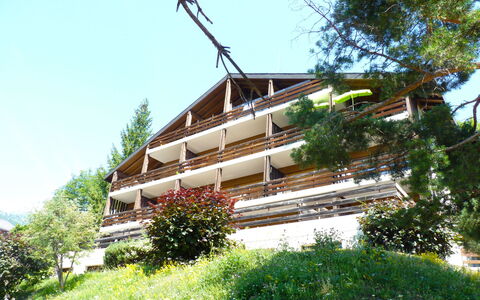 Centaure a Rs 3: Pflanze, Himmel, Gebäude, Baum, Holz, Hütte, Urban Design, Eco Hotel, Gras, Fassade