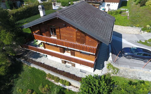 Falaises: Pflanze, Gebäude, Eigentum, Fenster, Baum, Haus, Holz, Grundstueck, Urban Design, Hütte