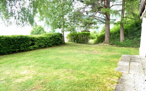 Frênes: Grün, Gras, Vegetation, Eigentum, Rasen, Baum, Grundstueck, Garten, Garten, Graspflanze