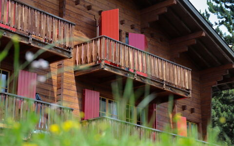 Verbier 131: Holz, Hütte, Holzbeize, Lärche, Garten, Hartholz, Blockhaus, Hinterhof, Veranda