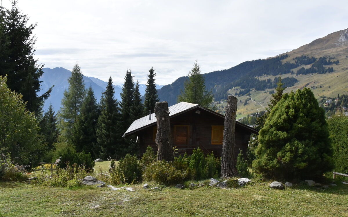 Summit Rez