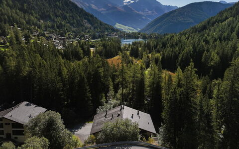 Arolla R01: Baum, Berg, Landschaft, Wald, Hochland, Bergstation, Gebirge, Zuhause, Lärche