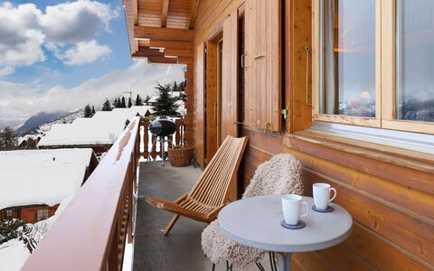 Lara: Holz, Möbel, Hartholz, Holzbeize, Einfrieren, Winter, Stuhl, Balkon, Schnee