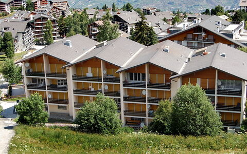 Nendaz 250: Pflanze, Gebäude, Daytime, Fenster, Baum, Botanik, Vegetation, Urban Design, Grundstueck, Die Architektur