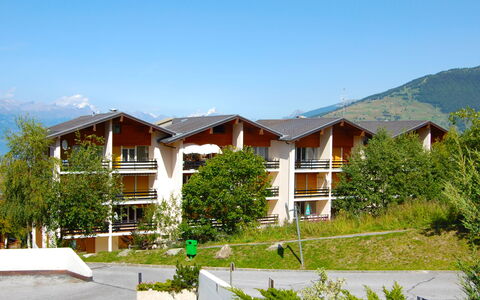 Nendaz 250: Himmel, Pflanze, Gebäude, Fenster, Grundstueck, Baum, Haus, Urban Design, Gras, Schatten