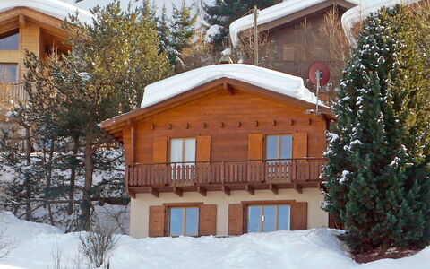 Mungg: Schnee, Gebäude, Fenster, Baum, Haus, Pflanze, Ast, Lärche, Holz
