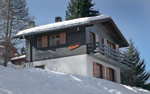 Hildegarde: Schnee, Winter, Eigentum, Haus, Zuhause, Baum, Die Architektur, Bergstation, Grundeigentum, Geologisches Phänomen