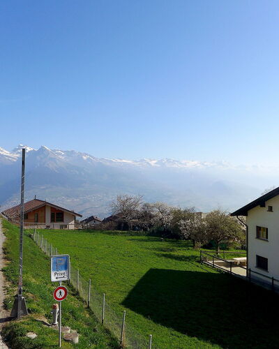 Cerisiers Hrez