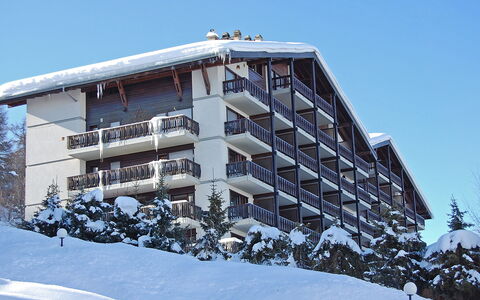 Nendaz 150: Himmel, Gebäude, Fenster, Schnee, Baum, Urban Design, Haus, Eigentumswohnung, Steigung, Einfrieren