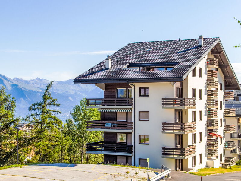 Nendaz 160