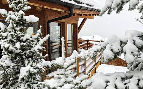 Sebas: Schnee, Eigentum, Pflanze, Gebäude, Botanik, Baum, Ast, Zweig, Holz, Die Architektur