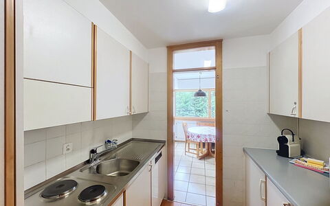 Diana E2: Küche, Flooring, Countertop, Holz, Interior Design, Fussboden, Decke, Spüle, Küchengerät, Major Appliance