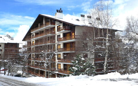Nendaz 730: Himmel, Wolke, Gebäude, Schnee, Pflanze, Baum, Haus, Steigung, Die Architektur, Holz