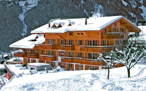 Grindelwald 100: Gebäude, Schnee, Eigentum, Fenster, Haus, Steigung, Die Architektur, Hütte, Einfrieren, Baum
