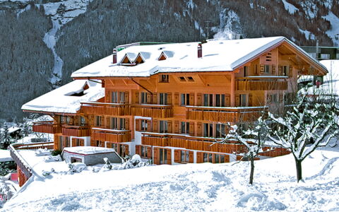 Grindelwald 100: Gebäude, Schnee, Fenster, Steigung, Haus, Einfrieren, Die Architektur, Baum, Pflanze, Hütte