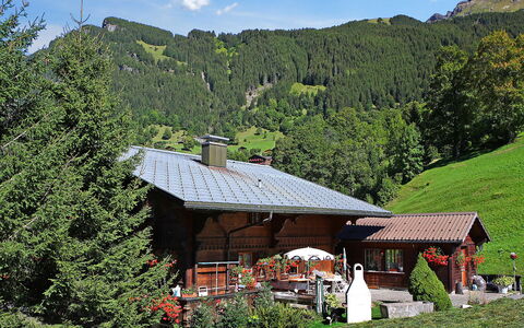 Grindelwald 121: Pflanze, Wolke, Himmel, Eigentum, Pflanzengemeinschaft, Ökoregion, Berg, Natur, Natürliche Landschaft, Haus