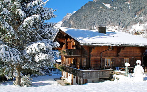 Grindelwald 121: Schnee, Himmel, Berg, Baum, Steigung, Natürliche Landschaft, Pflanze, Haus, Gebäude