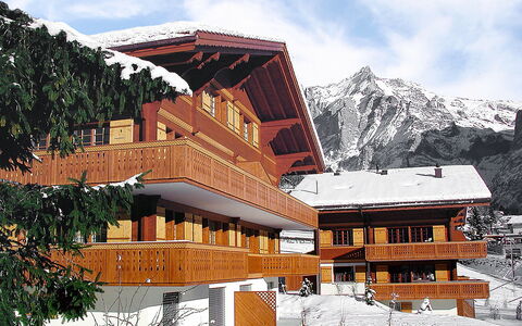 Grindelwald 106: Himmel, Gebäude, Wolke, Fenster, Schnee, Berg, Natur, Steigung, Haus, Natürliche Landschaft