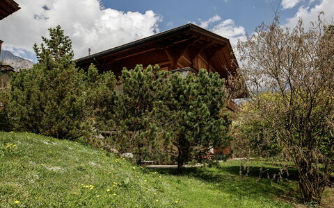 Grindelwald 106: Haus, Strauch, Zuhause, Hütte, Steigung, Garten, Bauernhaus, Landscaping, Lärche, Garten