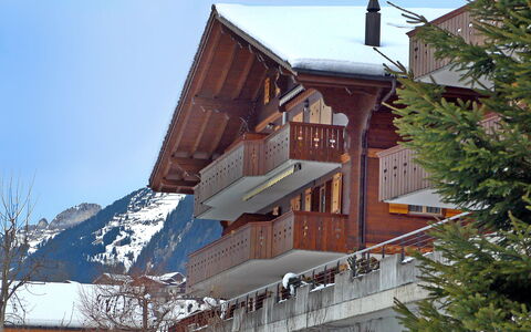 Chalet Perle: Himmel, Gebäude, Fenster, Schnee, Baum, Holz, Haus, Steigung, Dach, Wohngebiet