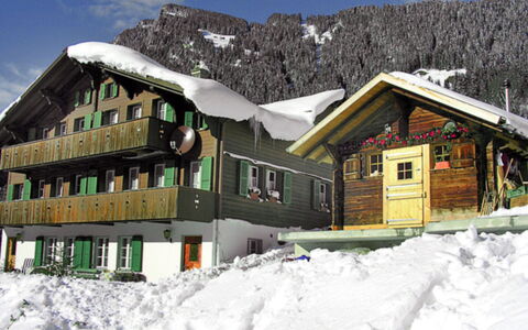 Grindelwald 145: Wasser, Pflanze, Gebäude, Himmel, Eigentum, Wolke, Schwimmbad, Azurblau, Fenster, Haus