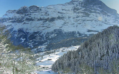 Chalet auf Dem Vogelstein 145.1: Wasser, Pflanze, Gebäude, Himmel, Eigentum, Wolke, Schwimmbad, Azurblau, Fenster, Haus