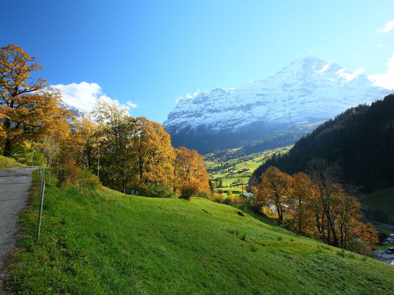 Unterkunft:&nbsp;Chalet auf Dem Vogelstein 145.2