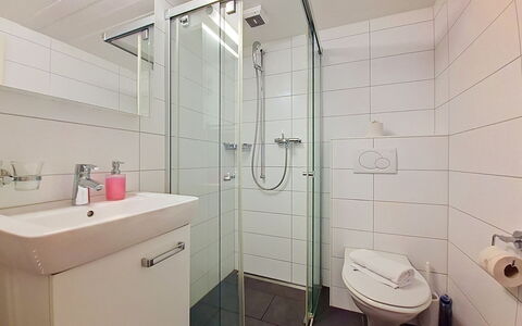 Grindelwald 150: Badezimmer, Interior Design, Armatur, Fussboden, Flooring, Bad Sink, Installation, Sinken, Dusche, Toilette