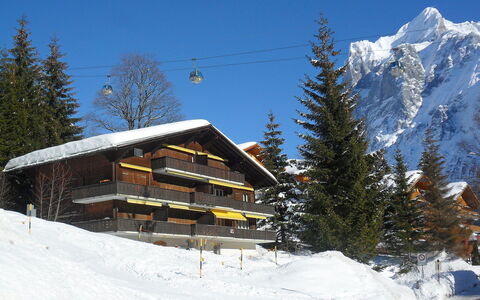 Chalet Bodmisunne: Himmel, Schnee, Eigentum, Gebäude, Berg, Baum, Haus, Steigung, Lärche, Einfrieren