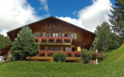 Chalet Doris: Wolke, Pflanze, Himmel, Gebäude, Baum, Fenster, Natürliche Landschaft, Grundstueck, Haus, Gras