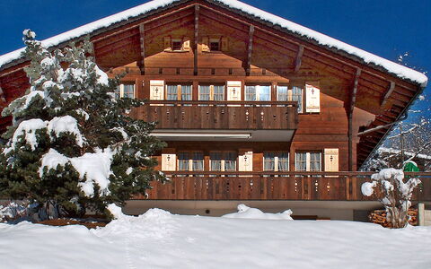 Chalet Doris: Gebäude, Schnee, Fenster, Pflanze, Himmel, Holz, Baum, Steigung, Haus, Hütte