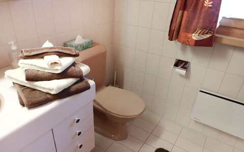 Chalet Doris: Eigentum, Bad Sink, Badezimmer, Toilleten Sitz, Interior Design, Fussboden, Flooring, Schublade, Toilette, Materialeigenschaft