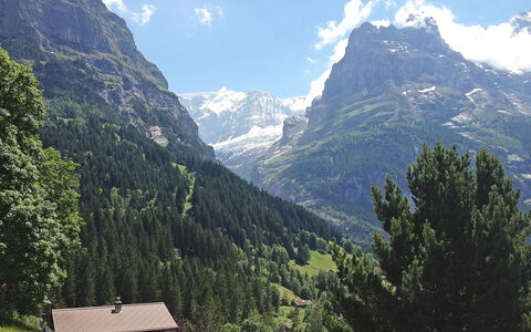 Chalet Doris: Wolke, Himmel, Berg, Pflanze, Ökoregion, Natürliche Landschaft, Baum, Lärche, Hochland, Steigung