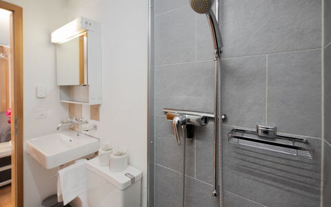 Chalet Chiebrendli: Armatur, Badezimmer, Wand, Interior Design, Flooring, Fussboden, Sinken, Zapfhahn, Installation, Beleuchtung