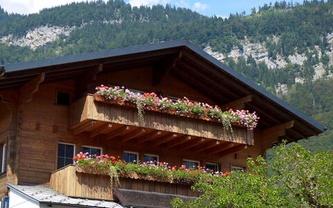 Oltschiblick: Blume, Himmel, Wolke, Pflanze, Gebäude, Fenster, Berg, Haus, Baum, Holz