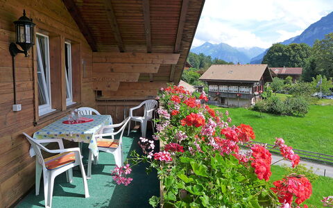 Oltschiblick: Eigentum, Blume, Haus, Hütte, Gebäude, Pflanze, Grundeigentum, Garten, Zimmer, Ländliches Gebiet