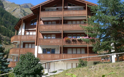 Les Violettes: Gebäude, Pflanze, Himmel, Eigentum, Fenster, Baum, Holz, Haus, Urban Design, Wohngebiet