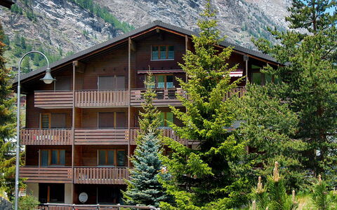 Zermatt 210: Pflanze, Gebäude, Eigentum, Fenster, Berg, Baum, Haus, Vegetation, Grundstueck, Natürliche Landschaft