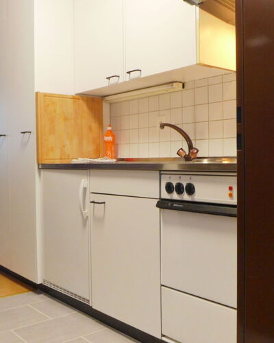 Sungold 210.1