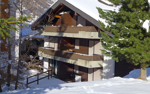 Luchre: Schnee, Gebäude, Baum, Himmel, Holz, Pflanze, Steigung, Lärche, Hütte, Haus