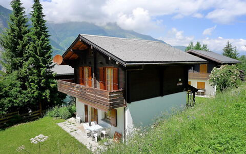 Allegra: Haus, Eigentum, Hütte, Gebäude, Zuhause, Grundeigentum, Dach, Blockhaus, Die Architektur, Berg