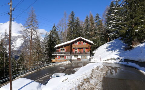 Lärchenheim: Schnee, Winter, Berg, Bergforms, Baum, Eigentum, Einfrieren, Geologisches Phänomen, Himmel, Gebirge