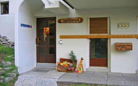 Gentiana (Utoring): Pflanze, Gebäude, Die Architektur, Tür, Grundeigentum, Zimmerpflanze, Gras, Fassade, Schatten