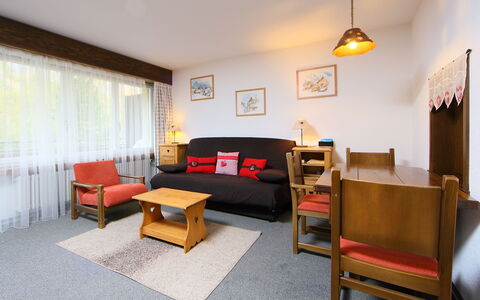 Unterkunft:&nbsp;Ringstrasse Apt 115 900.2