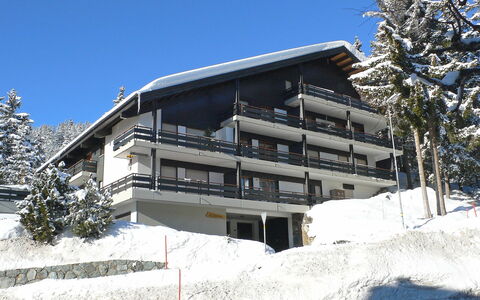 Crans-Montana 120: Schnee, Winter, Eigentum, Die Architektur, Haus, Zuhause, Grundeigentum, Gebäude, Wohnung, Himmel