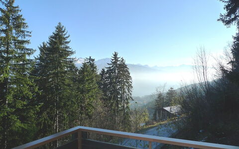 Yuca B Apt. 28: Himmel, Baum, Wildnis, Atmosphärisches Phänomen, Natürlichen Umgebung, Biome, Berg, Morgen, Wolke, Gehölz