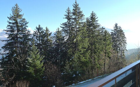 Yuca B Apt. 28: Baum, Schnee, Gehölz, Immergrün, Wildnis, Drehkiefer, Natürlichen Umgebung, Biome, Winter, Pflanze